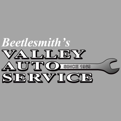 beetle1.jpg